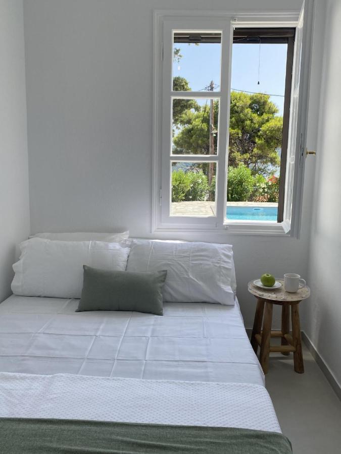Villa Icelle Skopelos Town Sea View Swimming Pool Exteriör bild